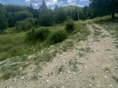 Teren vanzare cumparare padure Breaza de Sus Prahova